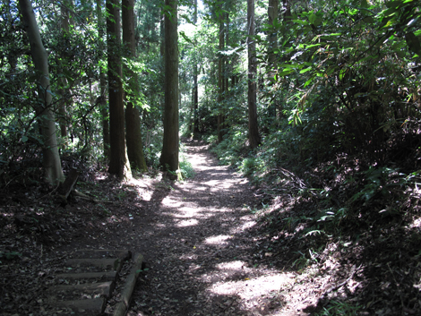 20150715hike (90)